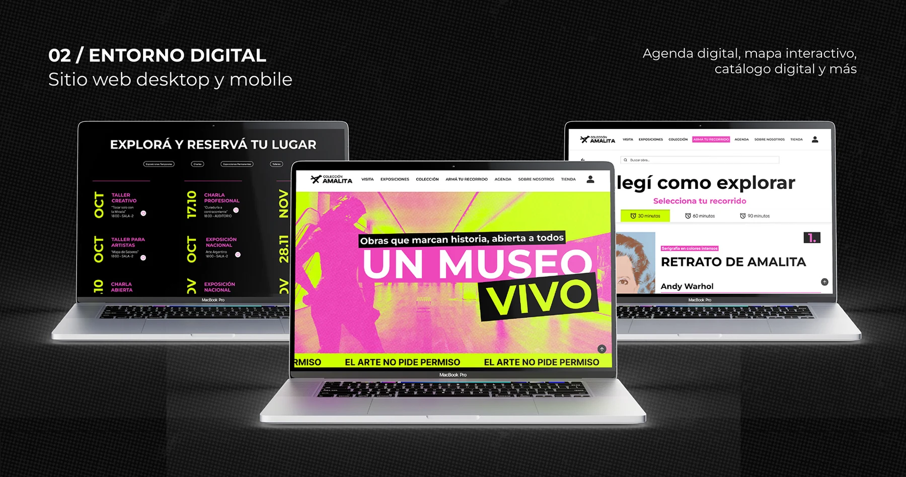 Colección Amalita / Propuesta web